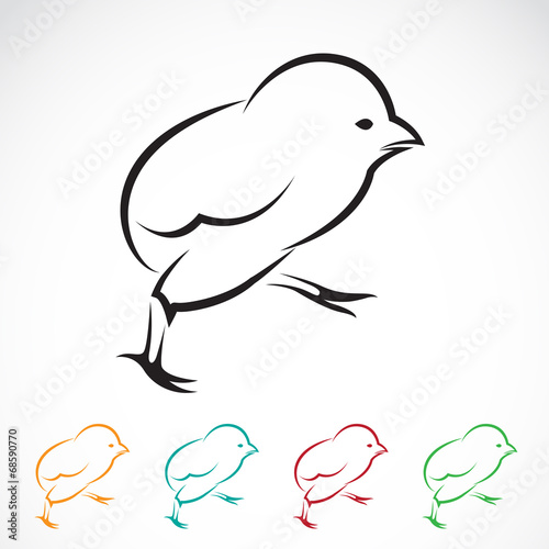 Vector image of an chick
