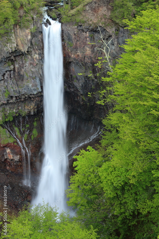 Obraz premium 華厳の滝