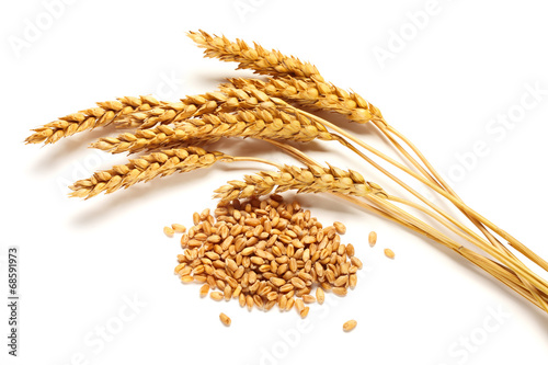 Wheat ears and seed