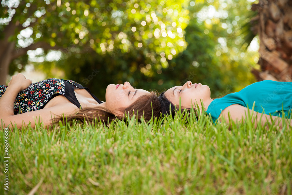 Napping together at a park Napping together at a park