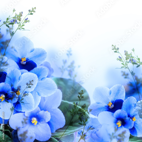 Bouquet of spring violets, floral background