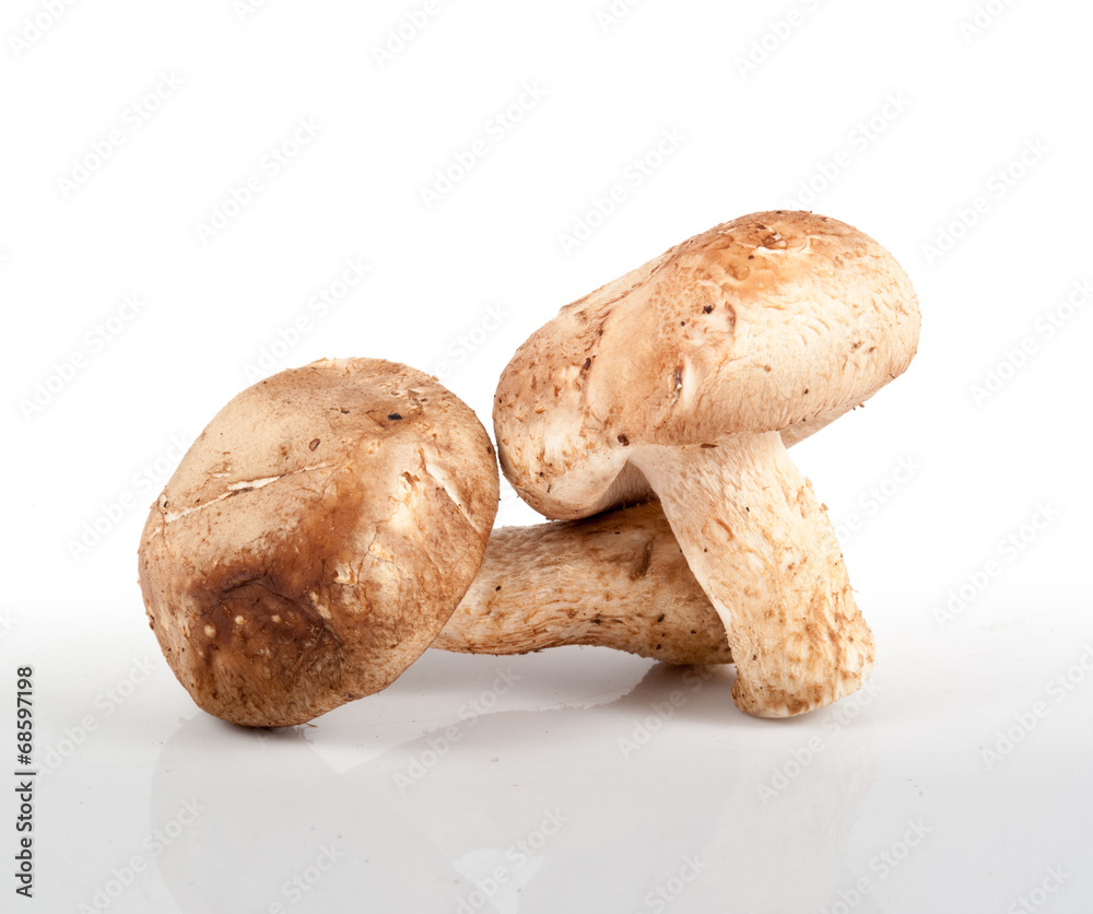 fresh mushroom champignon isolated on white background
