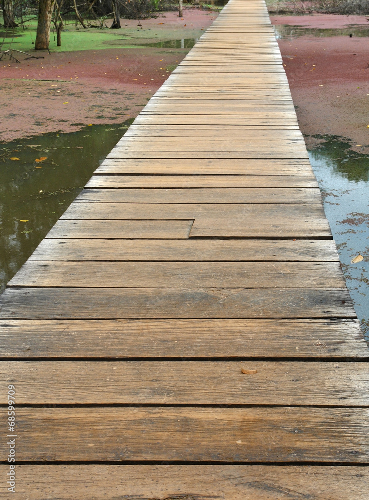 Fototapeta premium wooden bridge