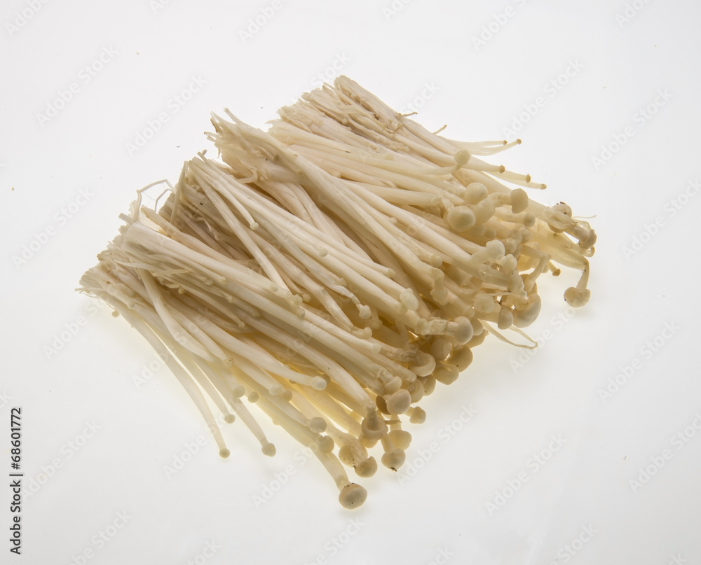 Fresh Enoki mushrooms (golden mushroom) on white background Fresh Enoki mushrooms (golden mushroom) on white background