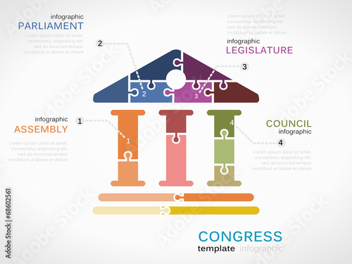 Vector congress infographics