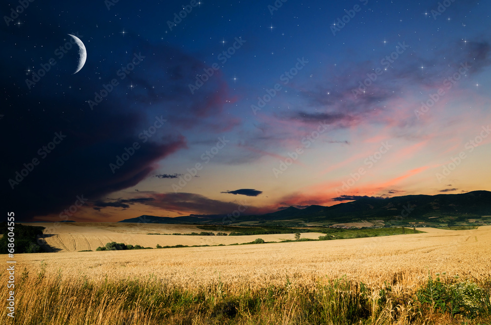 Wheat in the night. Elements of this image furnished by NASA. Wheat in the night. Elements of this image furnished by NASA.