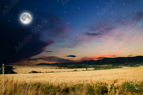 Wheat in the night. Elements of this image furnished by NASA.