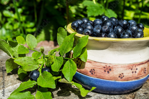 bowl with blueberries, blue balls, berries