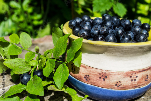blueberries, blue berries in the forest, blueberry cake, taste