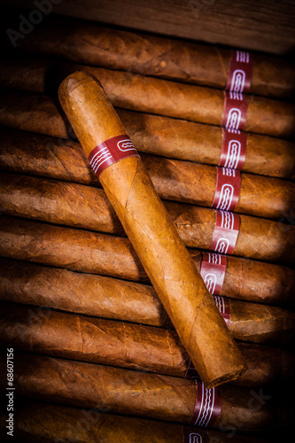 Tableau sur toile Cigars in humidor