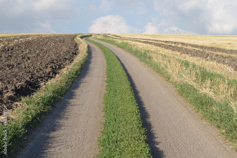 Dirt road through the fields.