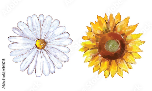 Fototapeta Naklejka Na Ścianę i Meble -  Watercolor flower set
