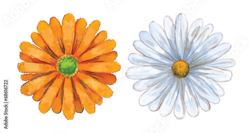 Watercolor flower set