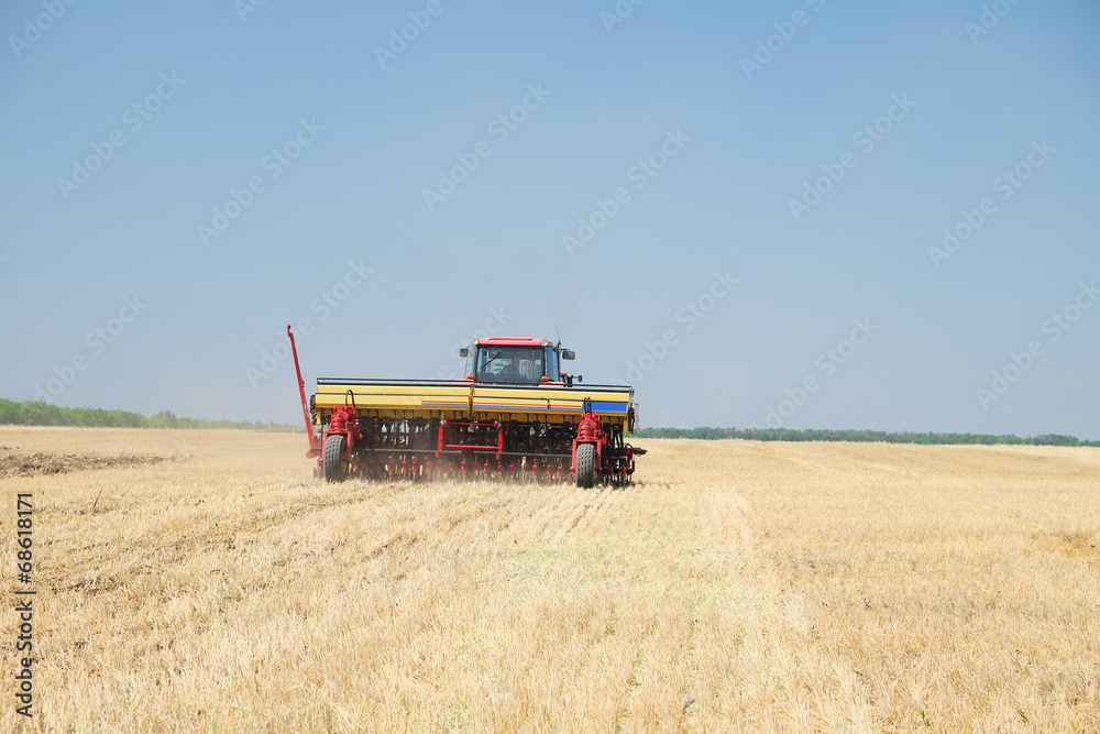 Fototapeta premium seeder