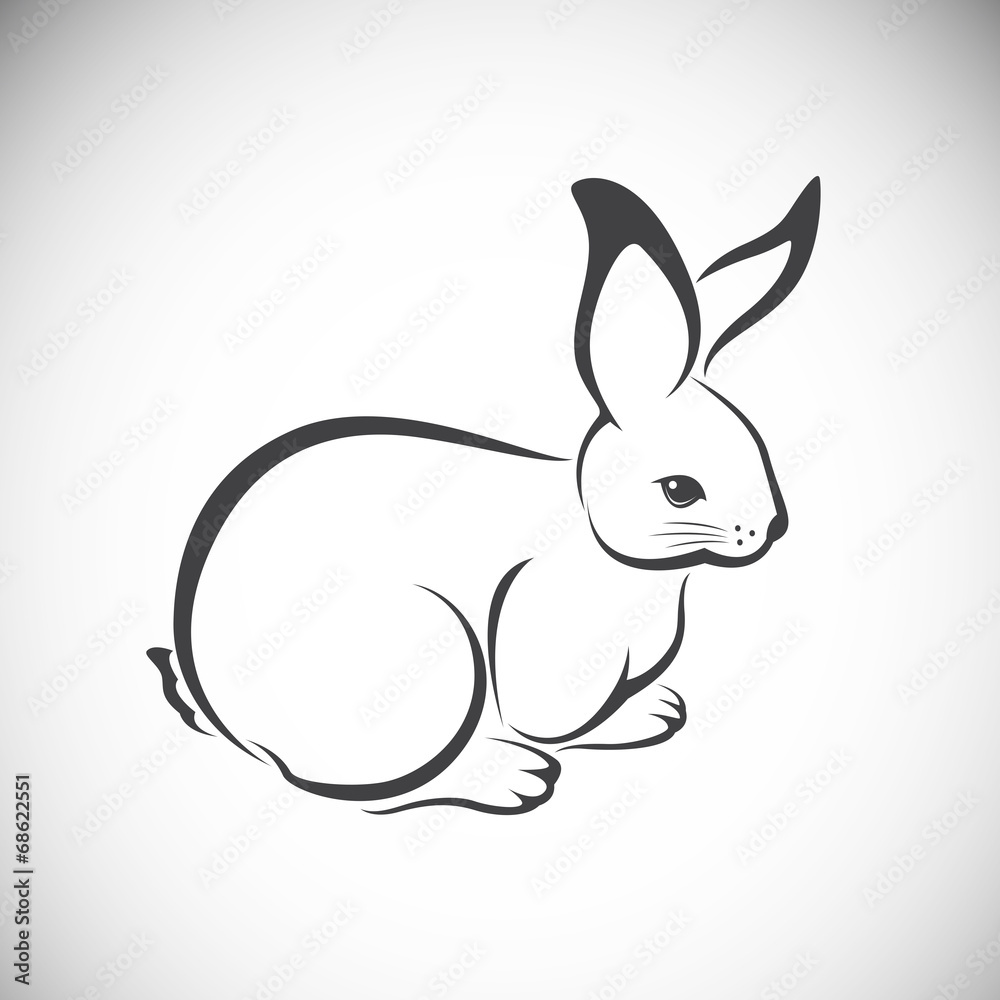 Vector image of an rabbit Stock Vector | Adobe Stock