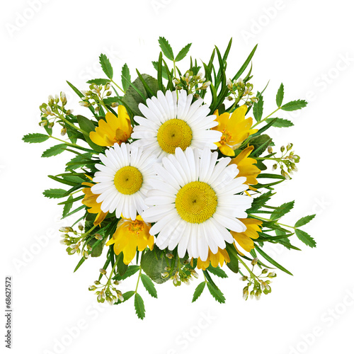 Fototapeta Naklejka Na Ścianę i Meble -  Wild flowers arrangement