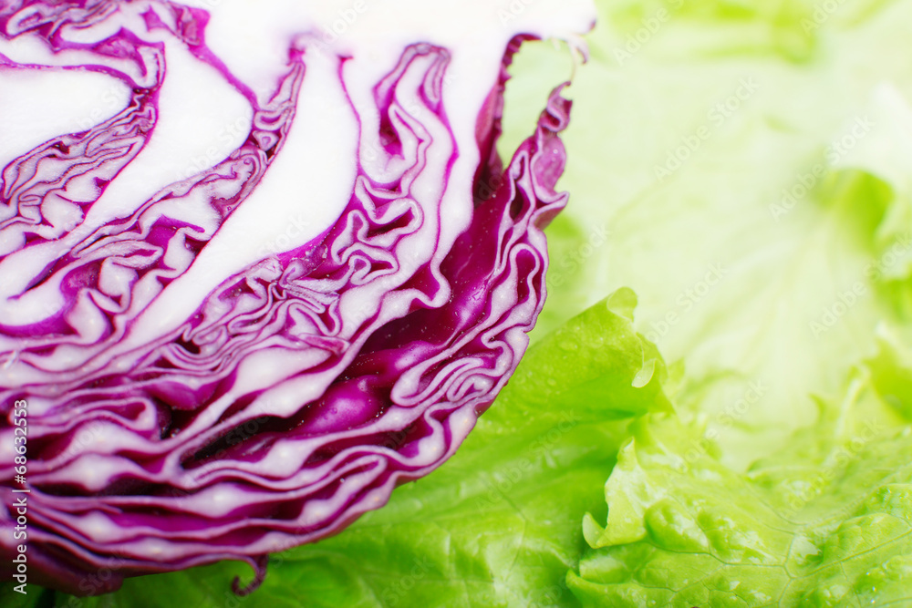 Obraz premium sliced ​​cabbage closeup