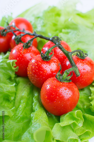 fresh tomatoes close-up