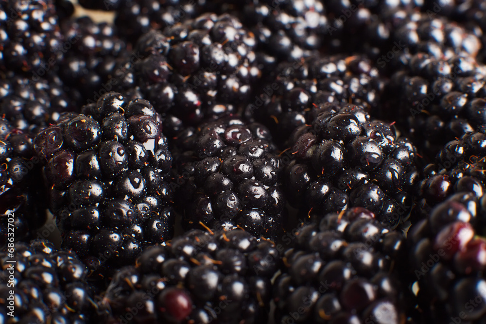 Fresh Ripe Blackberries Fresh Ripe Blackberries