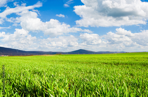 green field background