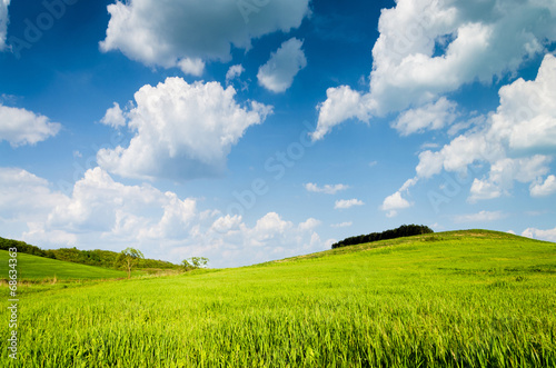 green field background