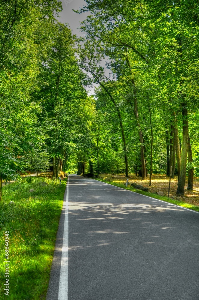 Allee Allee