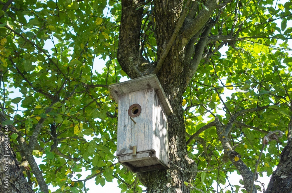 Vogelhaus Vogelhaus