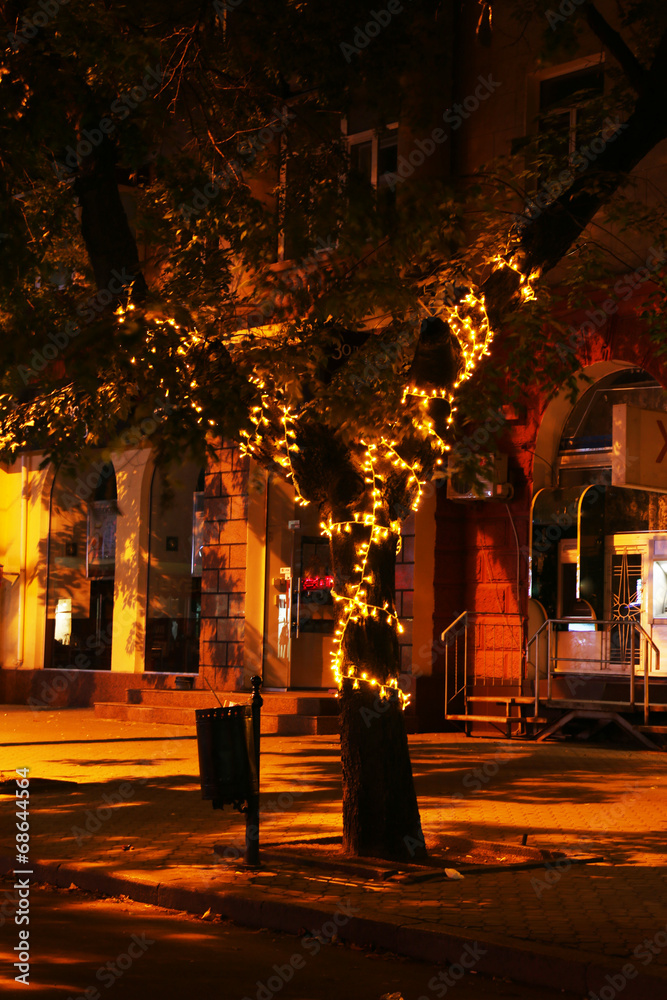 Luminous garland on tree in street