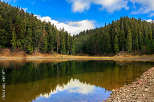 crystal clear lake near the pine forest in mountains