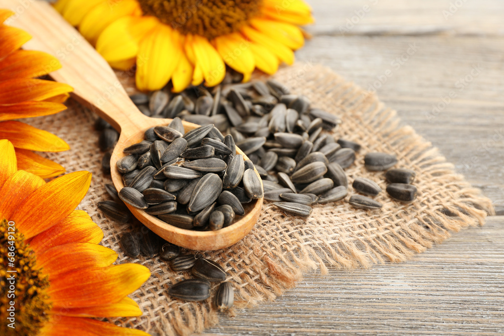 Fototapeta premium Sunflowers and seeds with spoon on wooden background