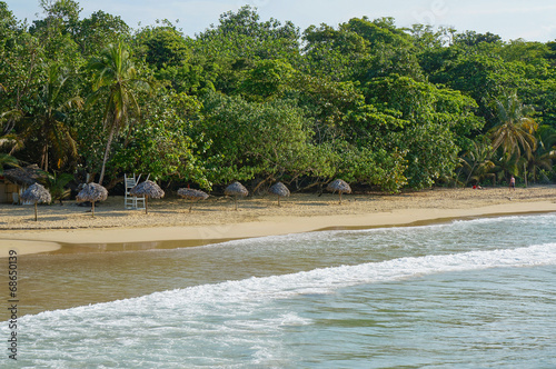 Palm leaf thatch umbrellas on a sandy beach