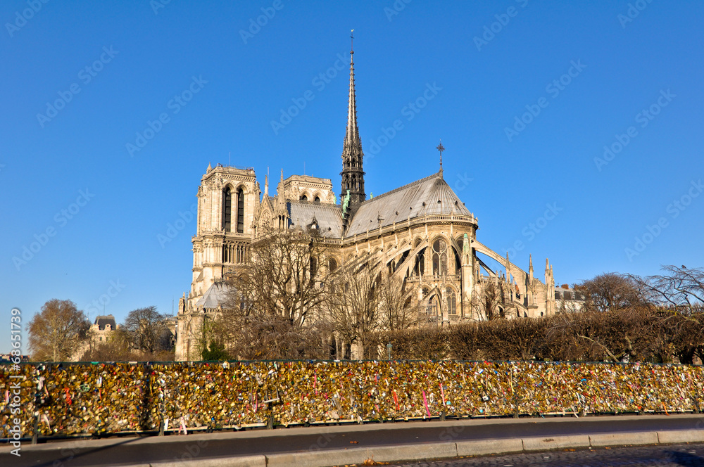 Cathedral Notre Dame and Bridge Pont des Arts in Paris