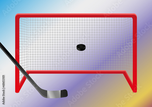 Ice hockey - goal