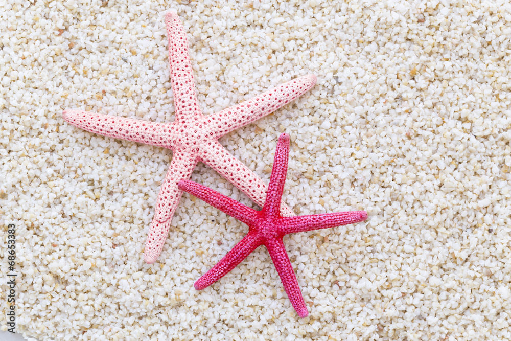 Starfish on the beach