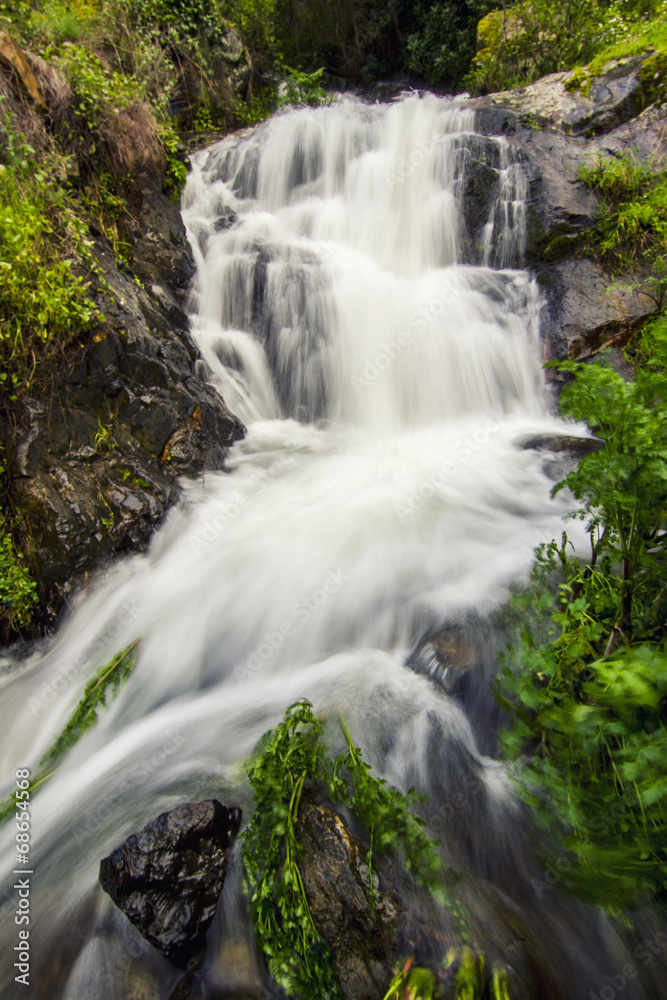 Fototapeta premium small waterfall, located on Monchique, Portugal.