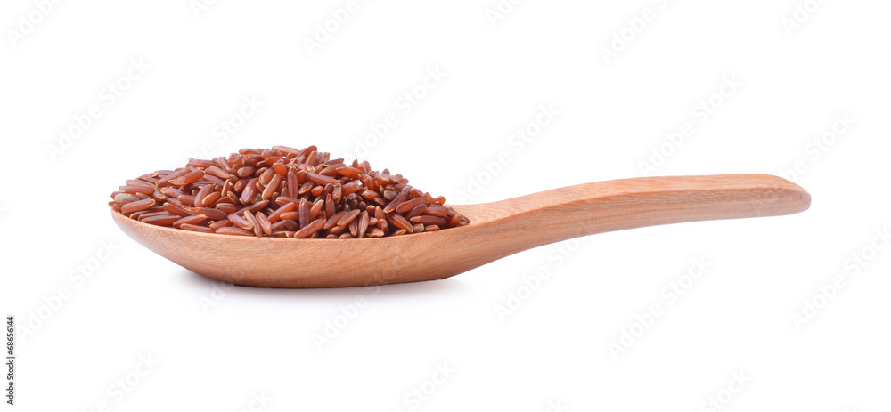 Uncooked Brown rice grains Uncooked Brown rice grains