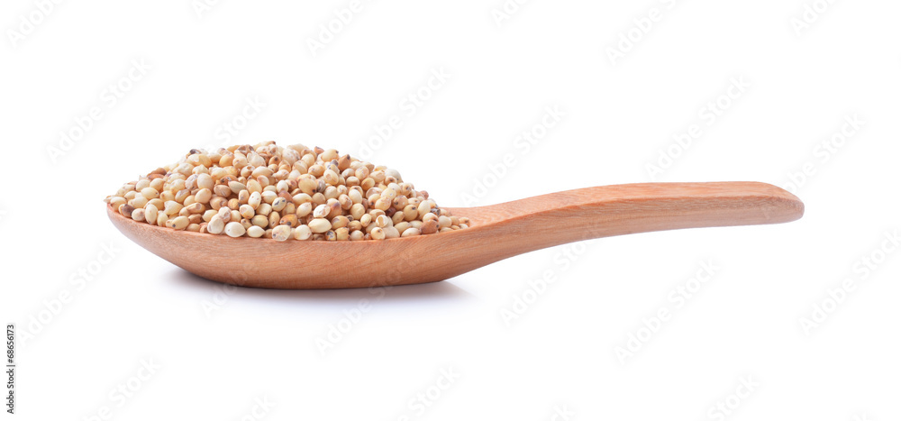 Sorghum rice Sorghum rice