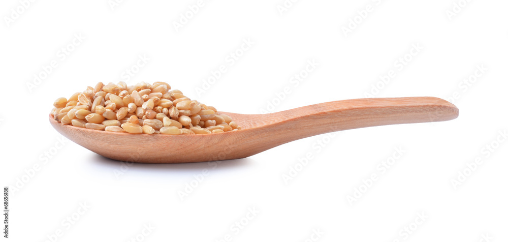 wheat wheat