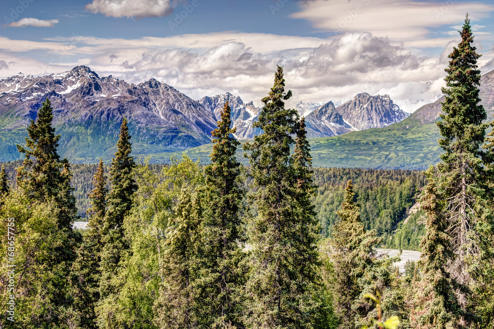 Obraz premium Denali National Park