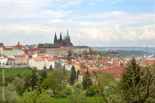The Hradcany in spring time, Prague