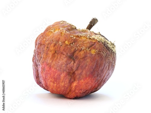 Fotografie Old rotten apple with large DOF on white background