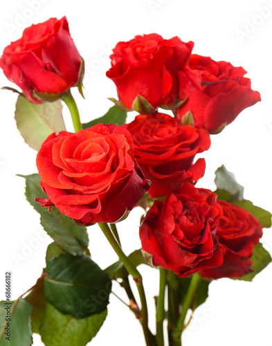 Bouquet of beautiful roses isolated on white © Africa Studio