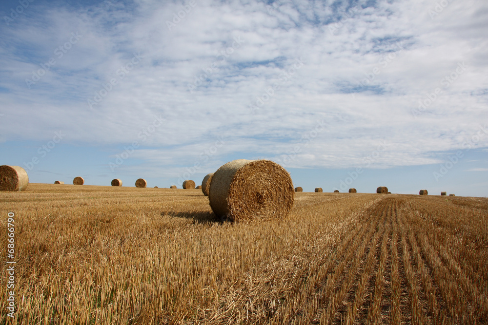 Fototapeta premium countryside view