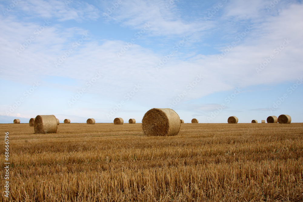 countryside view