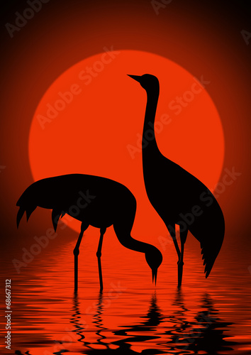 Cranes and sun