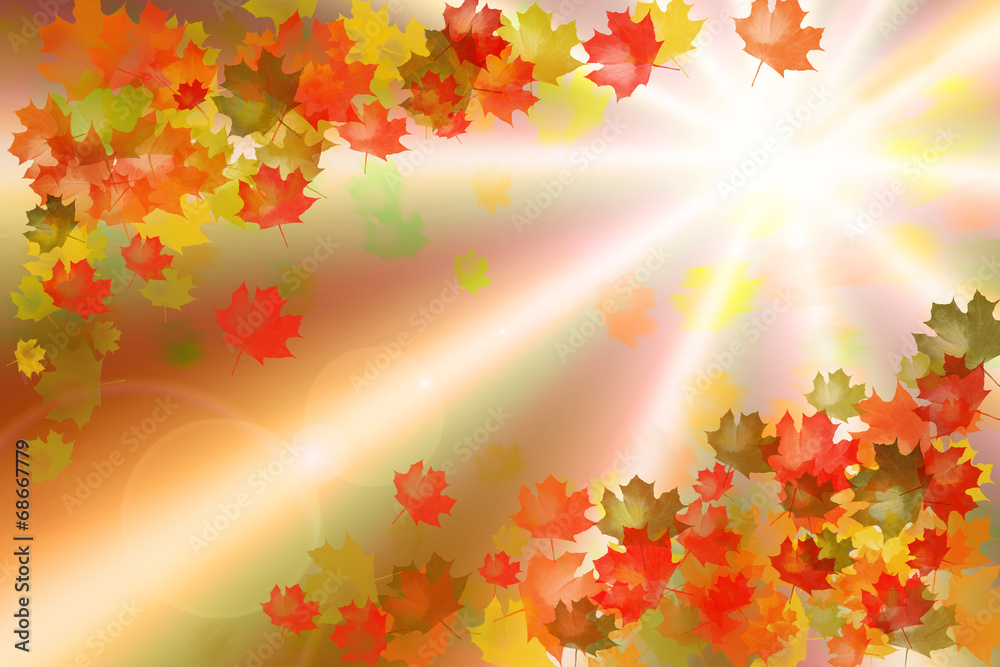 Background of autumn leaf fall