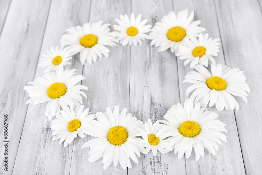 Obraz premium Chamomile wreath on grey wooden background