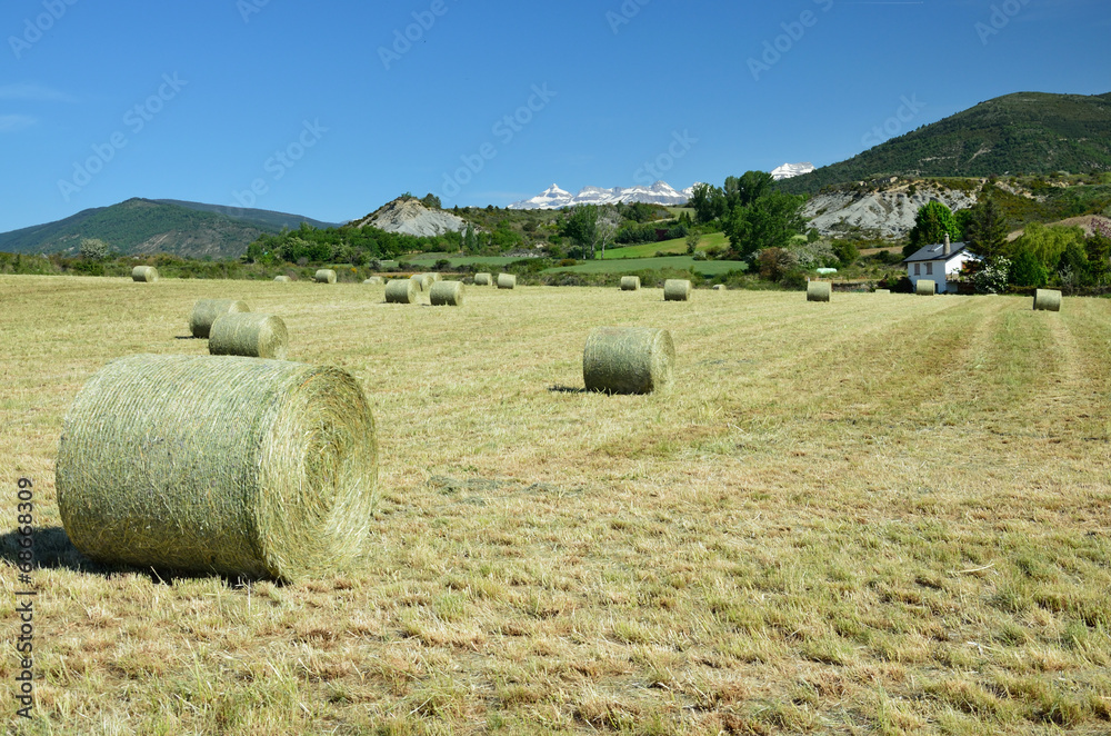 Country landscape in the Spanish Pyrenees Country landscape in the Spanish Pyrenees