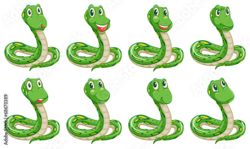 Different snake expressions
