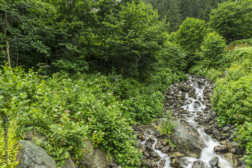 Mountain Stream